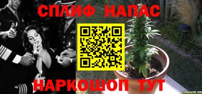 стаф Кимры