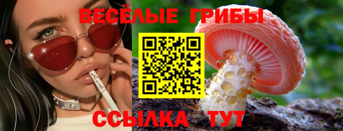 Псилоцибиновые грибы MAGIC MUSHROOMS  Галлюциногенные грибы ЛСД  Дальнегорск  Вход с VPN 